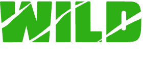 Wild Casino Logo